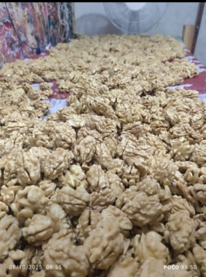 محصول نمونه 5