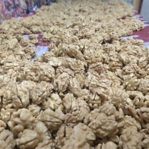 محصول نمونه 5