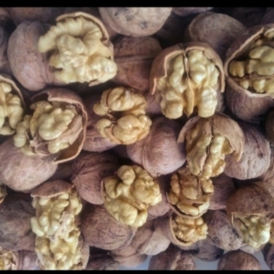 محصول نمونه 4