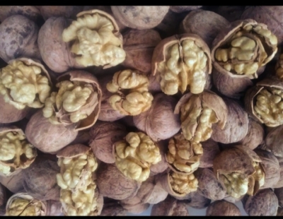 محصول نمونه 4