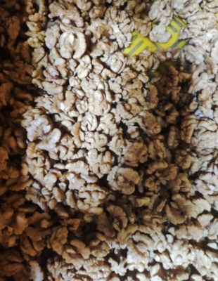 محصول نمونه 2